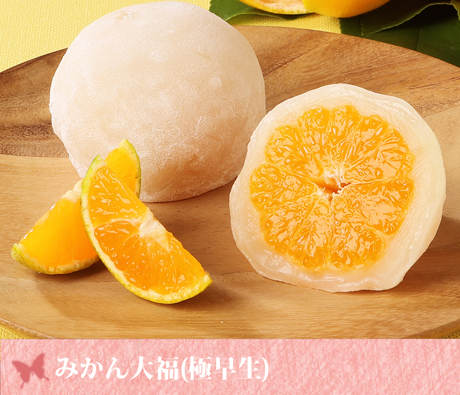 国産みかん使用の白餡入りフルーツ大福｜一心堂
